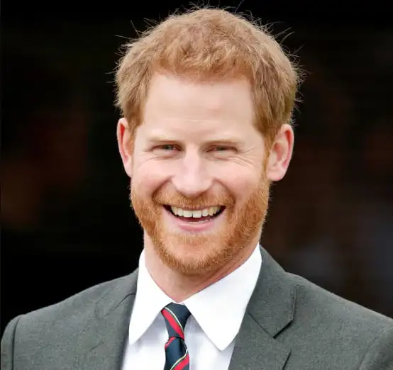 Prince Harry Personal Life